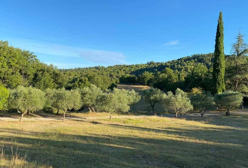 Villeneuve  Le Jas Des Cannebieres Bed & Breakfast エクステリア 写真